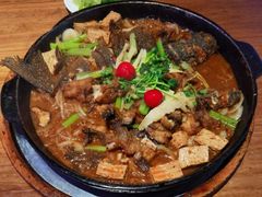 -老板恋上鱼(恒隆广场店)