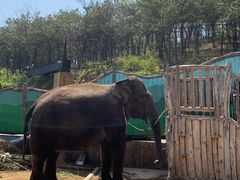 -大连森林动物园