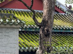 -国恩寺