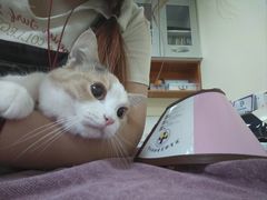 -动物缘宠物医院·骨科·猫科(西二环店)