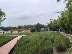 -苏家围·东江画廊旅游景区