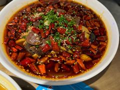 -向川南·水煮鱼·川菜(和平里店)