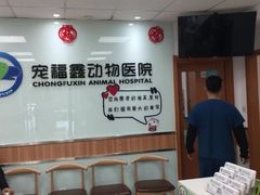 -宠福鑫动物医院(城北分院)