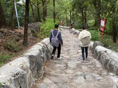 -阳台山自然风景区