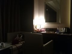 -北京希尔顿逸林酒店