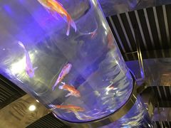 等位-唐宫海鲜舫