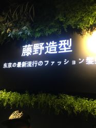 点击看大图 -藤野造型
