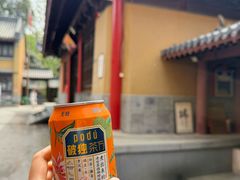 -灵谷景区