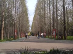 -禹州森林植物园
