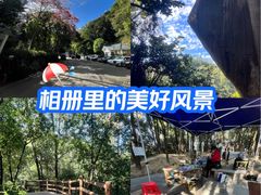 -火炉山森林公园