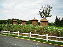 -MUSEO COFFEE咖啡博物馆