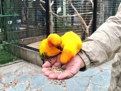 -北京野生动物园