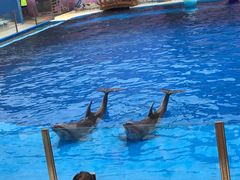 -北戴河圣蓝海洋公园