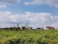 -云晓光头烧烤吧(新大陆广场店)