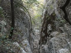 -佛慧山
