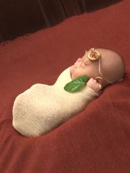 点击看大图 -皇家爱婴高端儿童摄影(苹果园店)