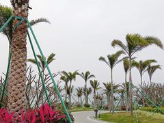 -东澳岛