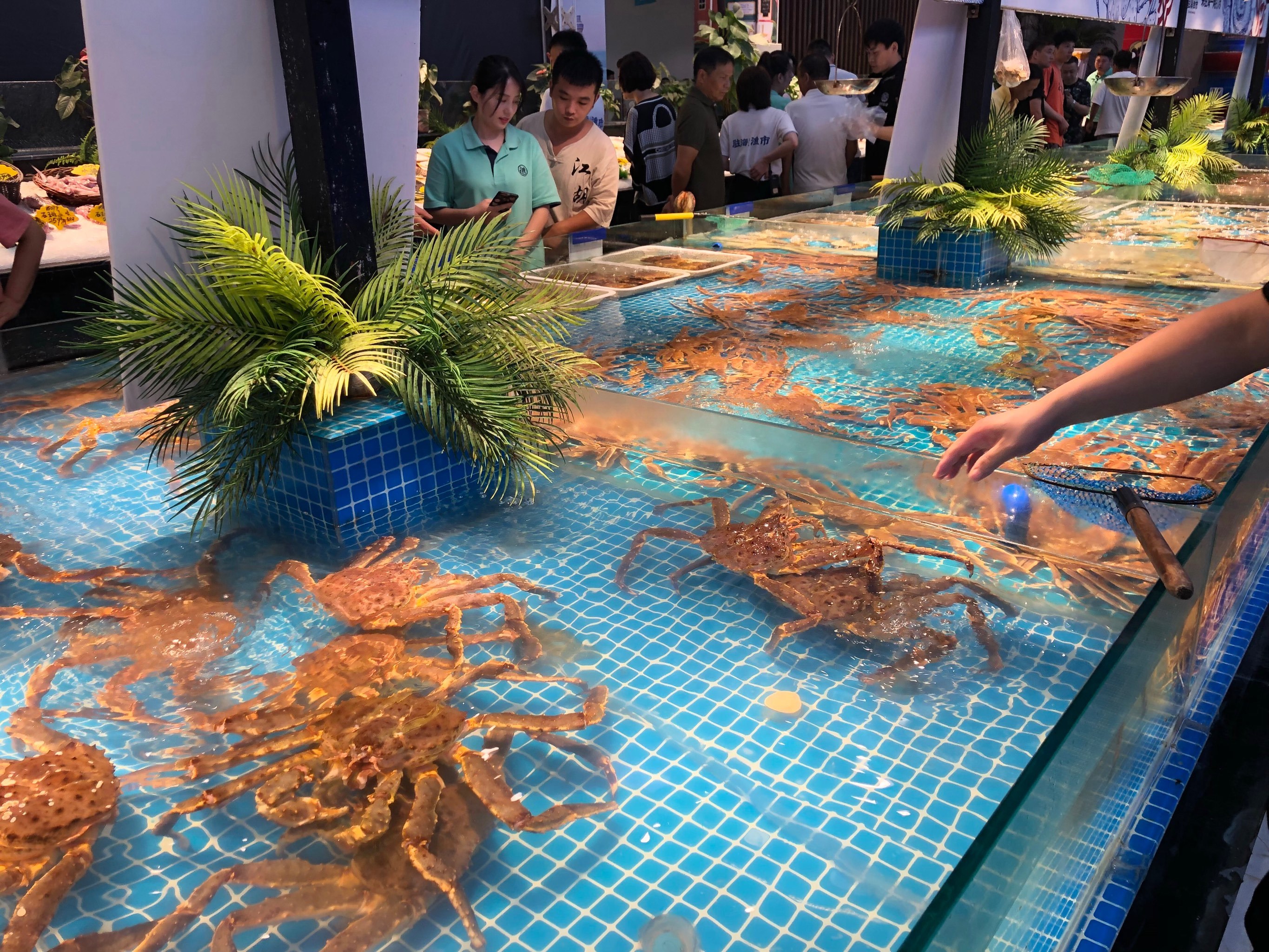 在置信广场一楼开了这家海鲜量贩式排挡,没-大众点评