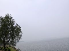 -丁香湖公园