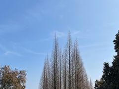 -宜兴龙背山森林公园