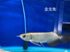 -益财水族馆