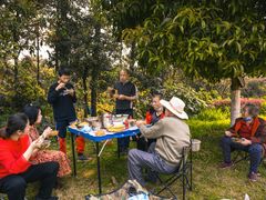 -铁山坪森林公园