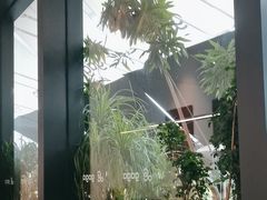 -gaga(深圳南山益田假日广场店)