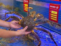 -驻海渔市(置信店)