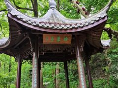 -九曜山