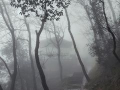 -灵隐飞来峰景区
