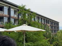 -逸廊大堂吧-下午茶·简餐-千岛湖自由洲际殿
