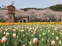 -北京上方山国家森林公园