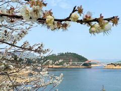 -广州市流溪河国家森林公园