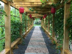 -中家鑫园温泉酒店鑫悦汤泉