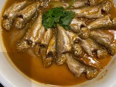 -大连湾旭日·家宴·海肠捞饭(马栏广场店)
