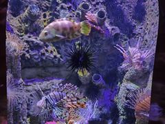 -太平洋海底世界