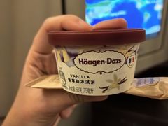 -约翰·菲茨杰拉德·肯尼迪国际机场