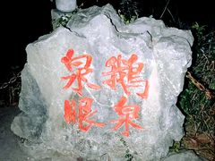 -靖西鹅泉风景区
