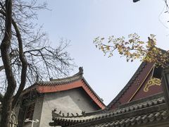 -大雁塔北广场音乐喷泉