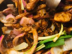 -胡须佬鸡煲四季火锅店(石厦西村直营店)
