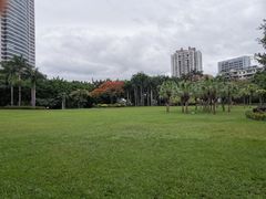 -东风公园