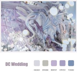 -DC大蔡婚礼策划(李公堤店)