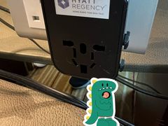 -香港尖沙咀凯悦酒店