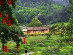 -广州市石门国家森林公园
