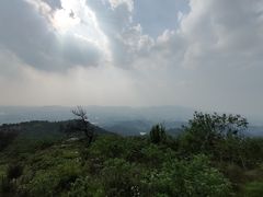 -黄陂区野村谷景区