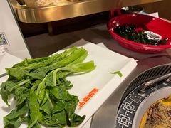 四川青笋尖-晓宇重庆火锅(赛格国际购物中心店)