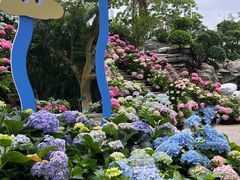-广西壮族自治区药用植物园