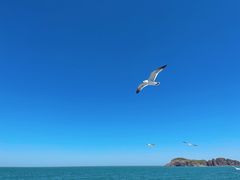 -海驴岛(荣成市)