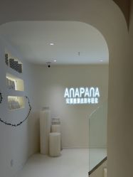 -安那般那皮肤年轻化ANAPANA