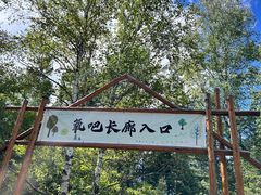 -汤旺河林海奇石景区